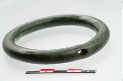Foto von Bronzegehängering (NHMW-PRAE-024137)